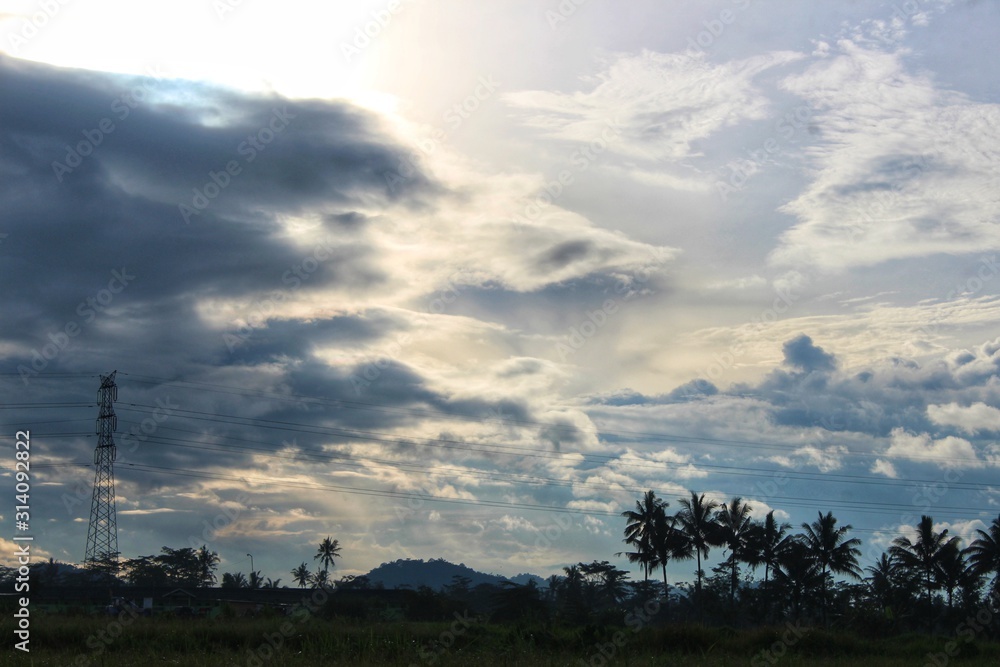 Beautiful views of paddy fields Beautiful views of paddy fields