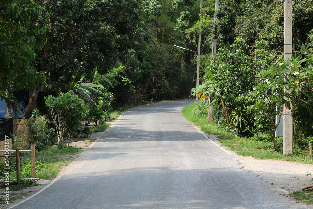 The empty road entering a rural village.