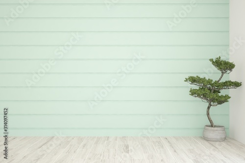 Empty room in white color with green plant. Scandinavian interior design. 3D illustration