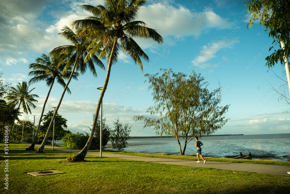 Palm Trees around the Cairns Esplanade Lagoon Area a popular walkway for people to see the coral sea which links to the great barrier reef trailing around queensland tourist popular city Palm Trees around the Cairns Esplanade Lagoon Area a popular walkway for people to see the coral sea which links to the great barrier reef trailing around queensland tourist popular city