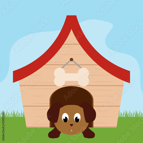 Dog in a pet house