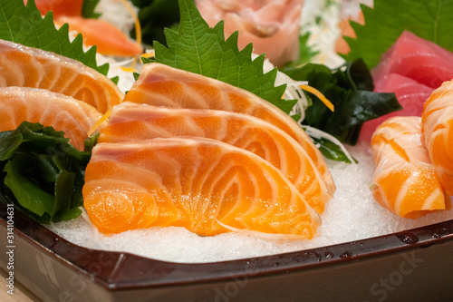 Raw salmon sashimi slice on ice Japanese food