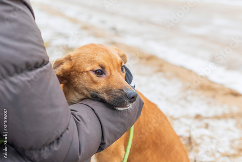 Girl hugs a dog. Photographed close-up.