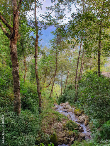 Everest Base Camp trekking itinerary: way from Nuntala to Bupsa. Beautiful path through rainy forest surrounded by rich greenery and waterfalls. Solokhumbu, Nepal. photo