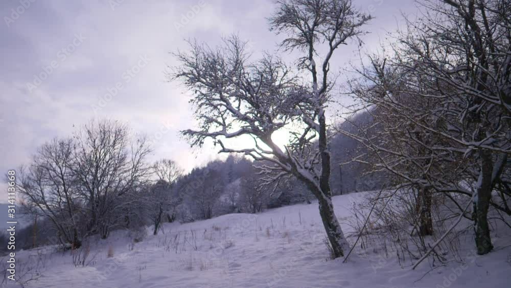 cold frosty winter dawn, sunrise in winter forest in the mountains, beautiful seasonal slow motion scene cold frosty winter dawn, sunrise in winter forest in the mountains, beautiful seasonal slow motion scene