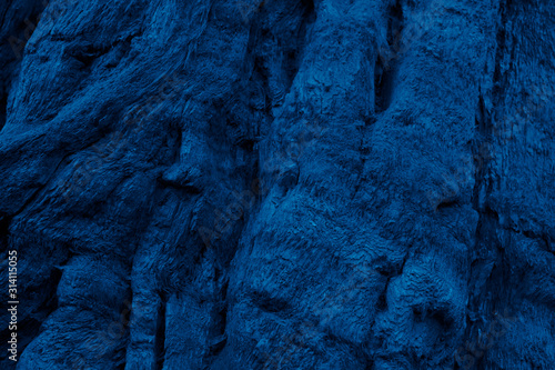 Blue rough wooden texture, driftwood. Old withered tree, migratory branches. Trend color 2020 classic, top view. Trendy color concept of the year, classic blue wooden background.