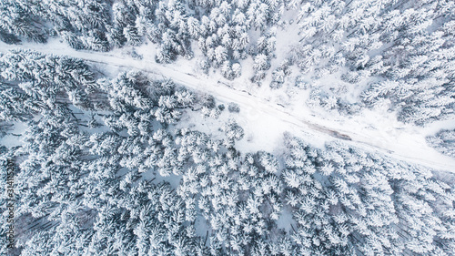 Country Lane Road in Winter Snowy Forest, Top Down Aerial View