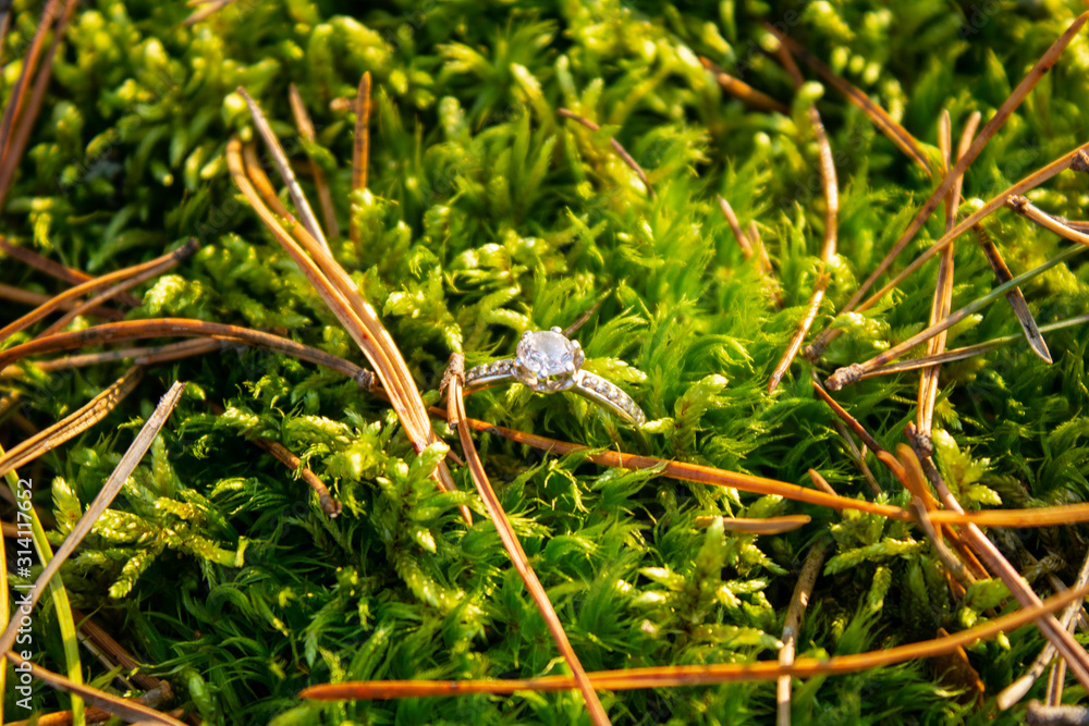  A ring with a precious stone lies among the moss and pine needles in the sun