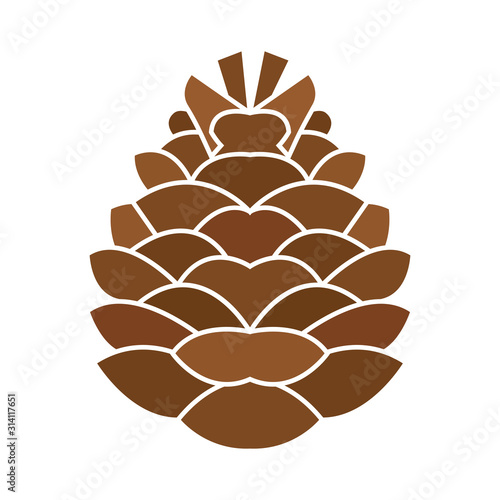 Isolated pine cone icon