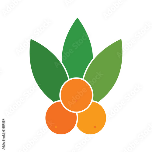 Isolated peaches image