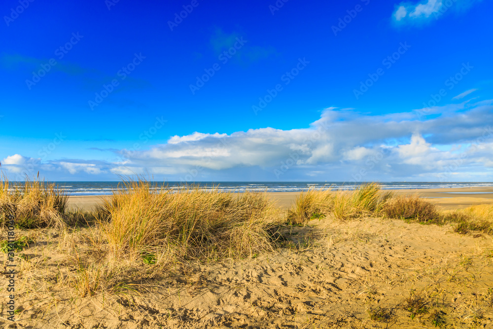 Distant view of the dune landscape and beach IJmuiderslag at low tide on the Dutch North Sea coast at seaport IJmuiden during sunrise towards the sea against a background of clear skies and clouds
