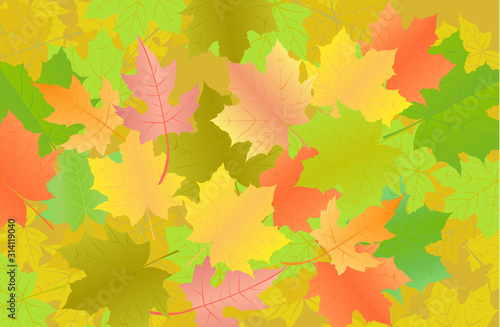 Autumn poster design. Maple leaves yellow and red. Vector illustration.