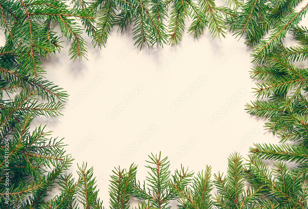Frame of coniferous green spruce branches on a white background with free space for text.