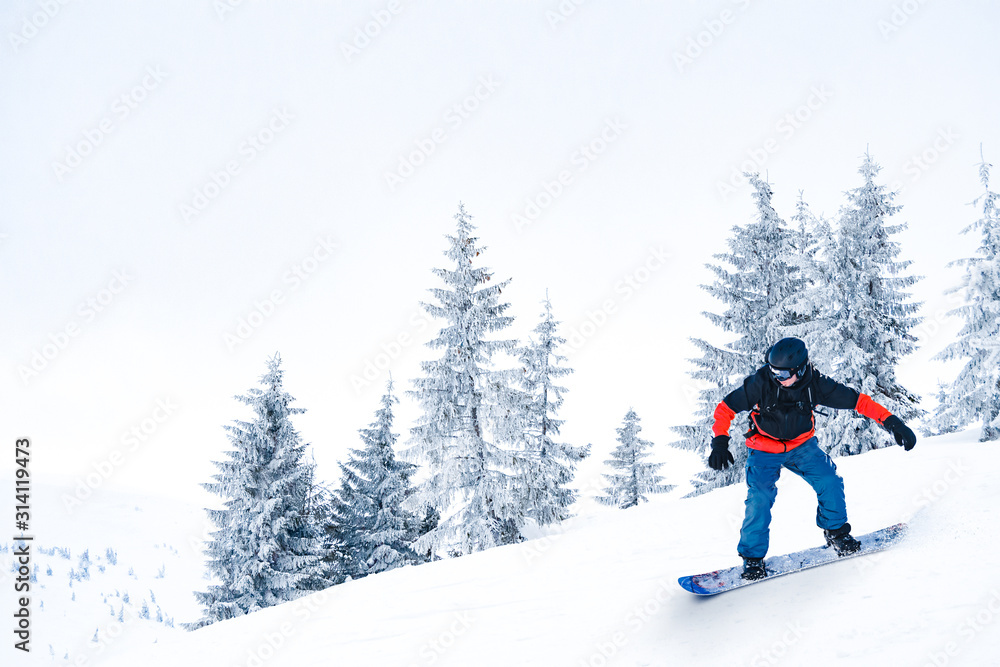 Snowboarder Riding Snowboard on the Slope near Fir Trees in the Mountains. Snowboarding and Winter Sports Concept