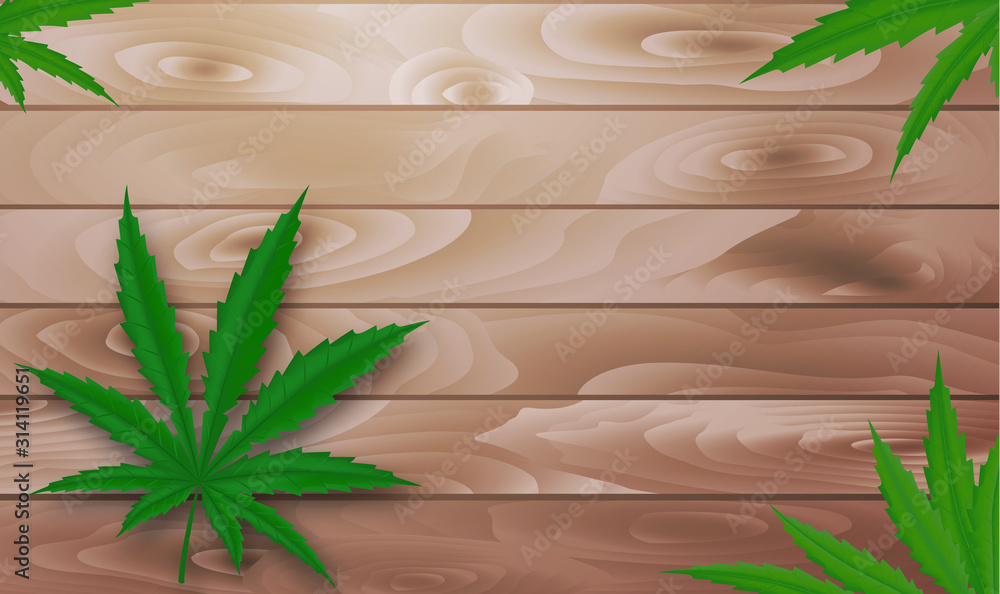 Poster with hemp leaves. Use it for print or web advertisement design create. Vector illustration. Poster with hemp leaves. Use it for print or web advertisement design create. Vector illustration.