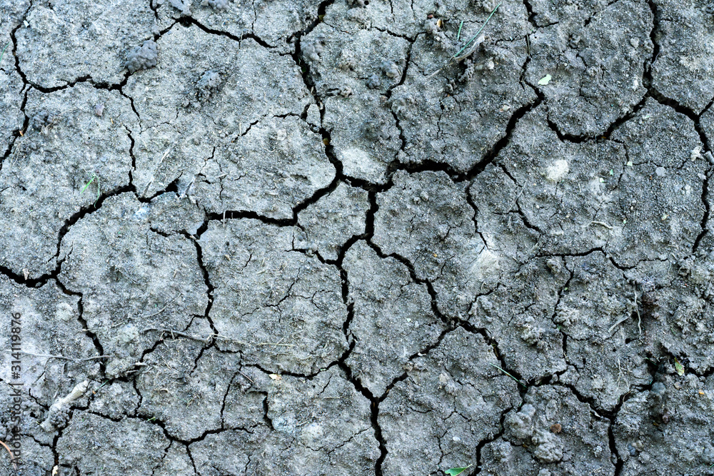 dry cracked earth dry cracked earth