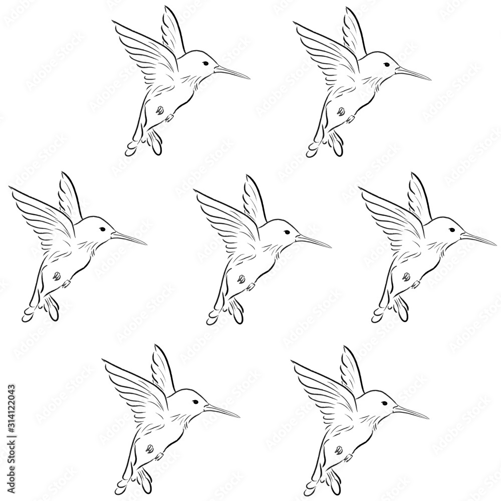 Cute, Bird, animal, vector, illustration 