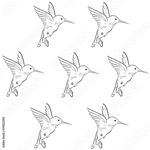 Cute  Bird  animal  vector  illustration 