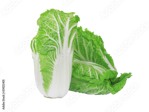 Napa cabbage on the white background