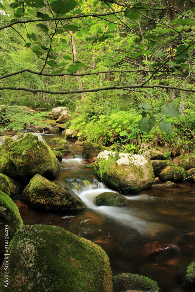 Fototapeta premium Mezenschwander Wasserfall Schwarzwald