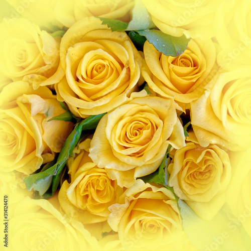 soft and airy yellow roses bouquet top view close up  filtered image as a natural background