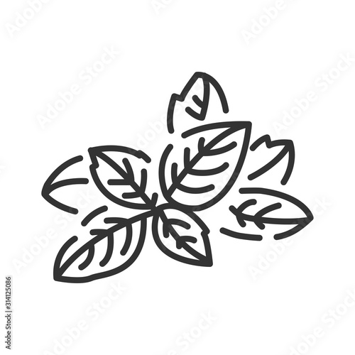 Basil black line icon. Healthy, organic food. Herb leaves. Cooking ingredient.