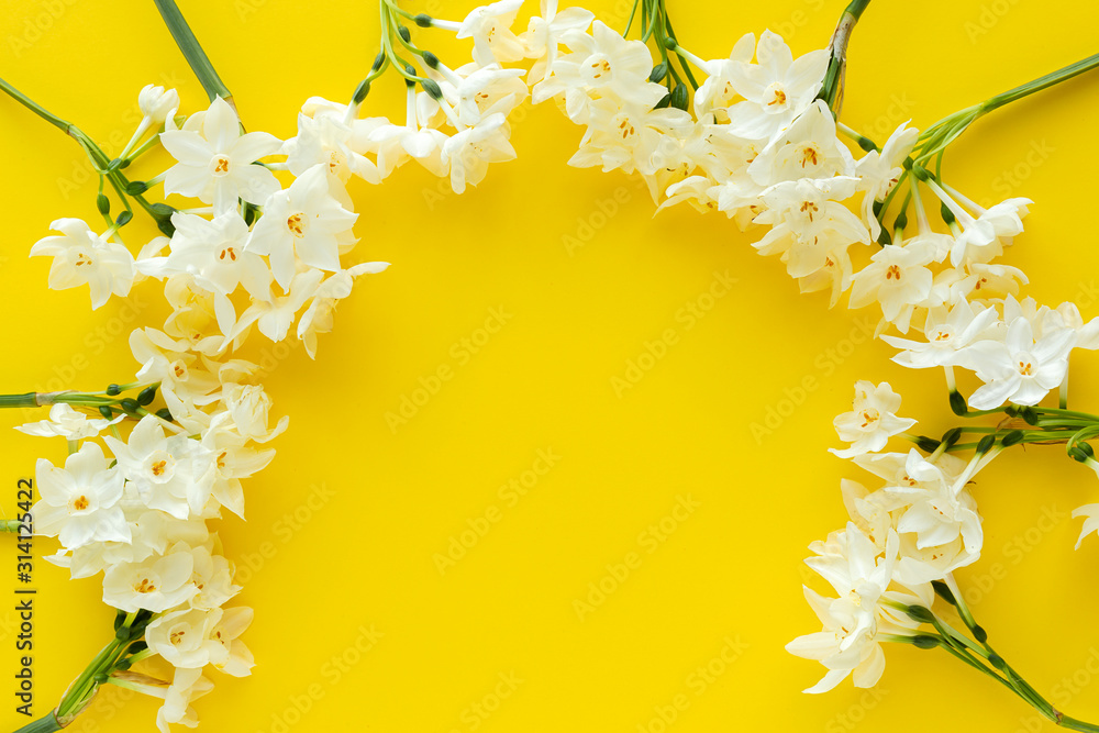 Fresh flowers on color background from above Fresh flowers on color background from above