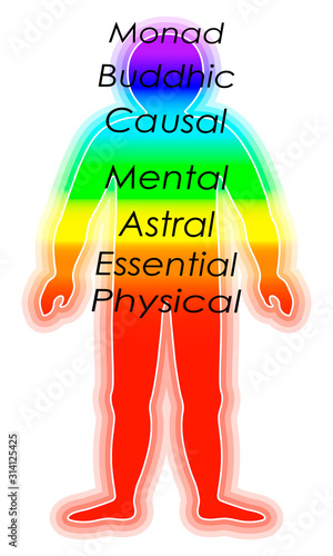 Spiritual growth, Rainbow color marked layers of the male body. The etheric, emotional, metallic, astral, celestial, and causal layers. Isolated vector on white background