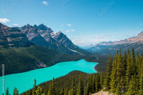 Le lac Peyto du parc national Banff au Canada