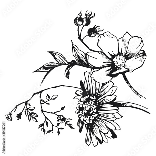 fiori sketch composizione 2