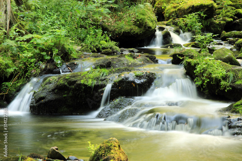 Ravennaschlucht Schwarzwald photo