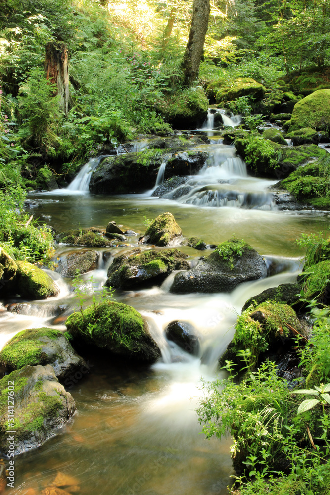 Ravennaschlucht Schwarzwald Ravennaschlucht Schwarzwald