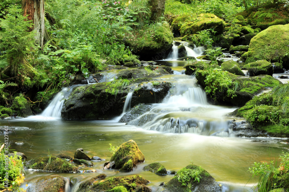 Ravennaschlucht Schwarzwald Ravennaschlucht Schwarzwald