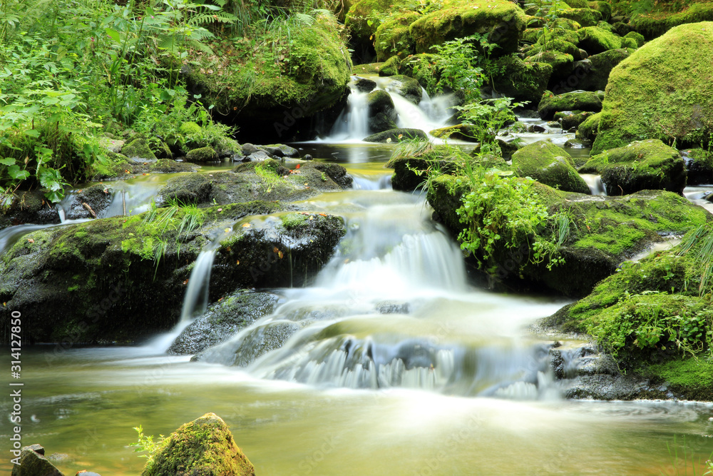 Ravennaschlucht Schwarzwald Ravennaschlucht Schwarzwald