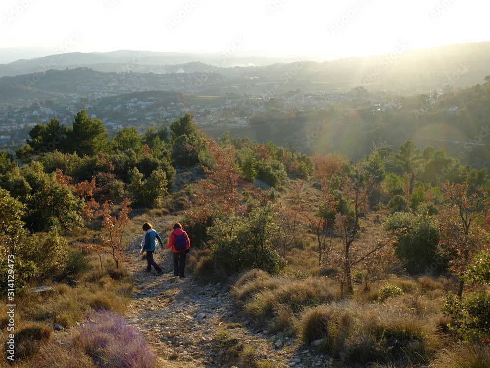 Naklejka premium rando hivernale en Provence