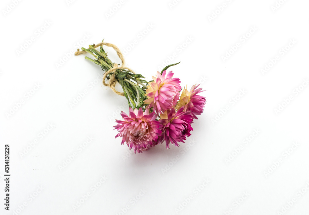 Obraz premium Several pink flowers with green legs tied with a rope. Dried flowers, herbarium.