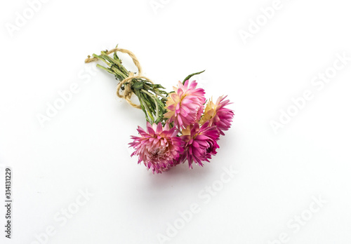 Several pink flowers with green legs tied with a rope. Dried flowers  herbarium.