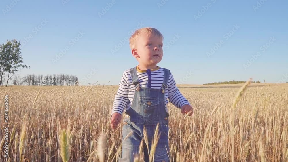 Happy young boy running on field with ripe rye at sunny day slow motion. concept. Happy young boy running on field with ripe rye at sunny day slow motion. concept.