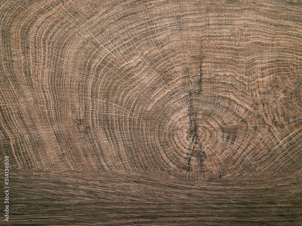 Naklejka premium Close up of cross section of the tree. Wood stock images 