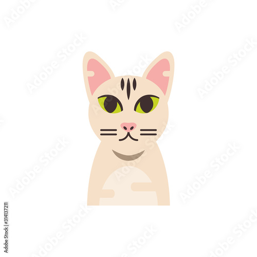 Cute white cat cartoon vector design
