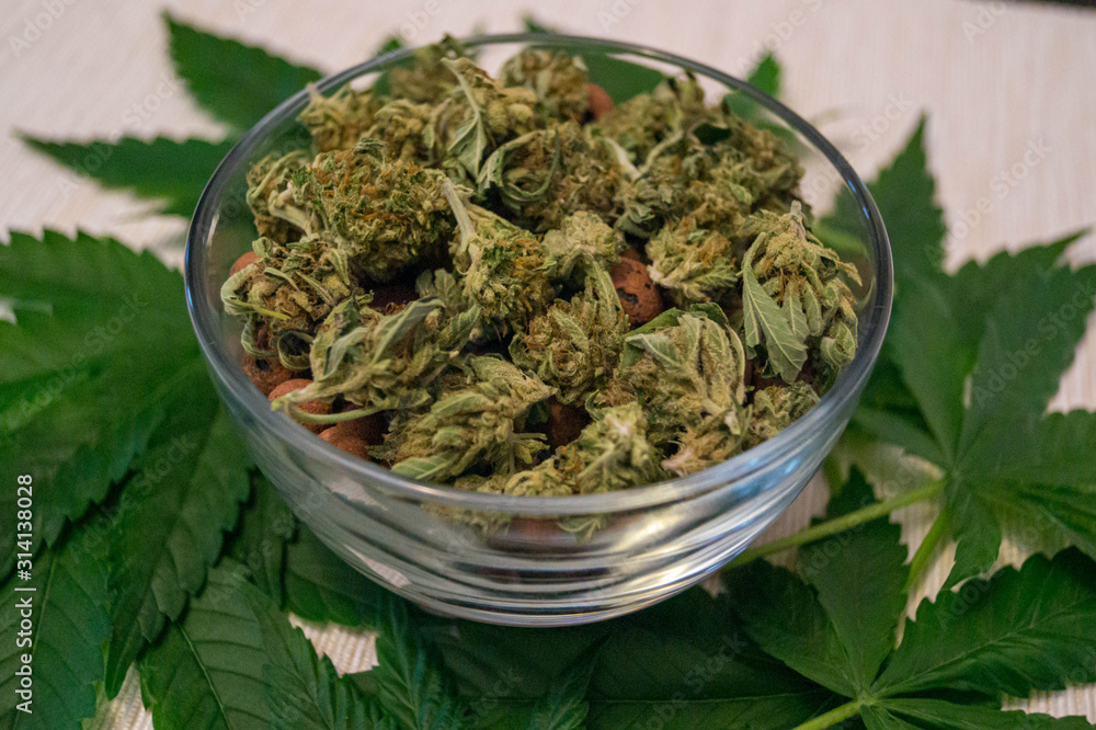 Medical and recreational cannabis in dried form with fresh leaves Medical and recreational cannabis in dried form with fresh leaves