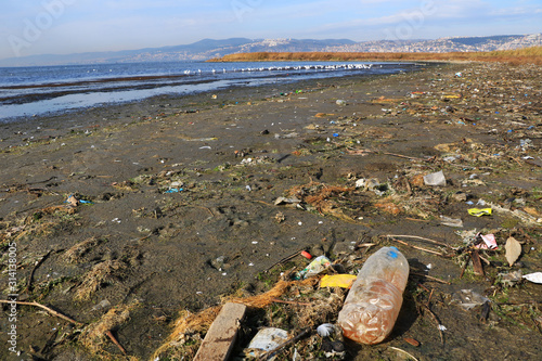 Environmental Pollution on Beach Where Birds Live photo