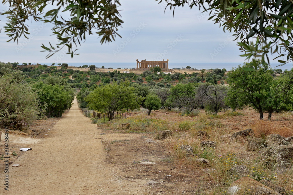 Sicily - Agrigento - Valley of the Temples - distant view of the Temple of Concordia.