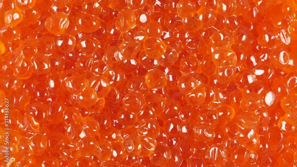 Red caviar rotated background. Salmon caviar close up rotation. Salted fish caviar texture. 4K 422 10 bit Red caviar rotated background. Salmon caviar close up rotation. Salted fish caviar texture. 4K 422 10 bit