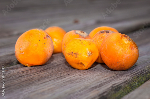 Corozo tropical fruit  photo