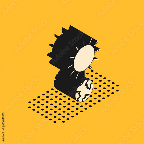 Isometric Solstice icon isolated on yellow background. Vector Illustration