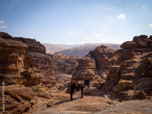 Petra Landskape, Jordan