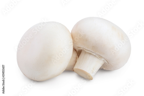 Fresh mushroom champignon isolated on white background with clipping path