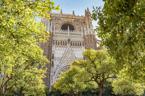 Seville Cathedral viewed from the Triumph Square, Spain. Gorgeous low angle view surrounded with trees