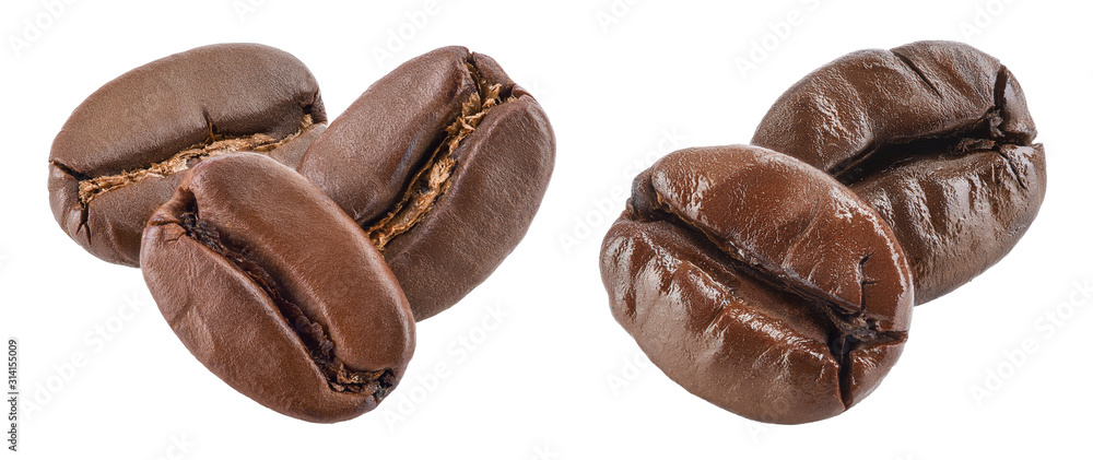 roasted coffee beans isolated on white background. Set or collection roasted coffee beans isolated on white background. Set or collection